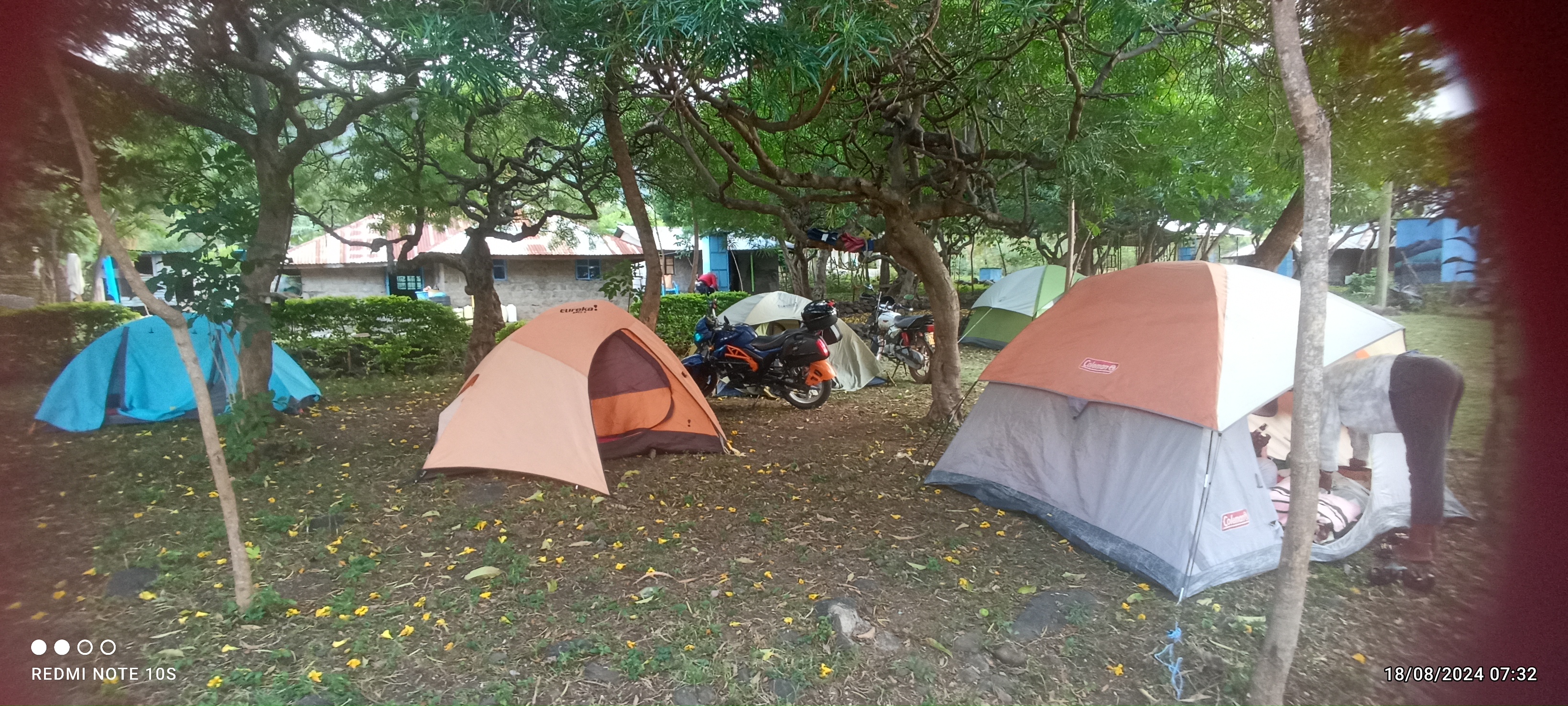 Volunteer Activities