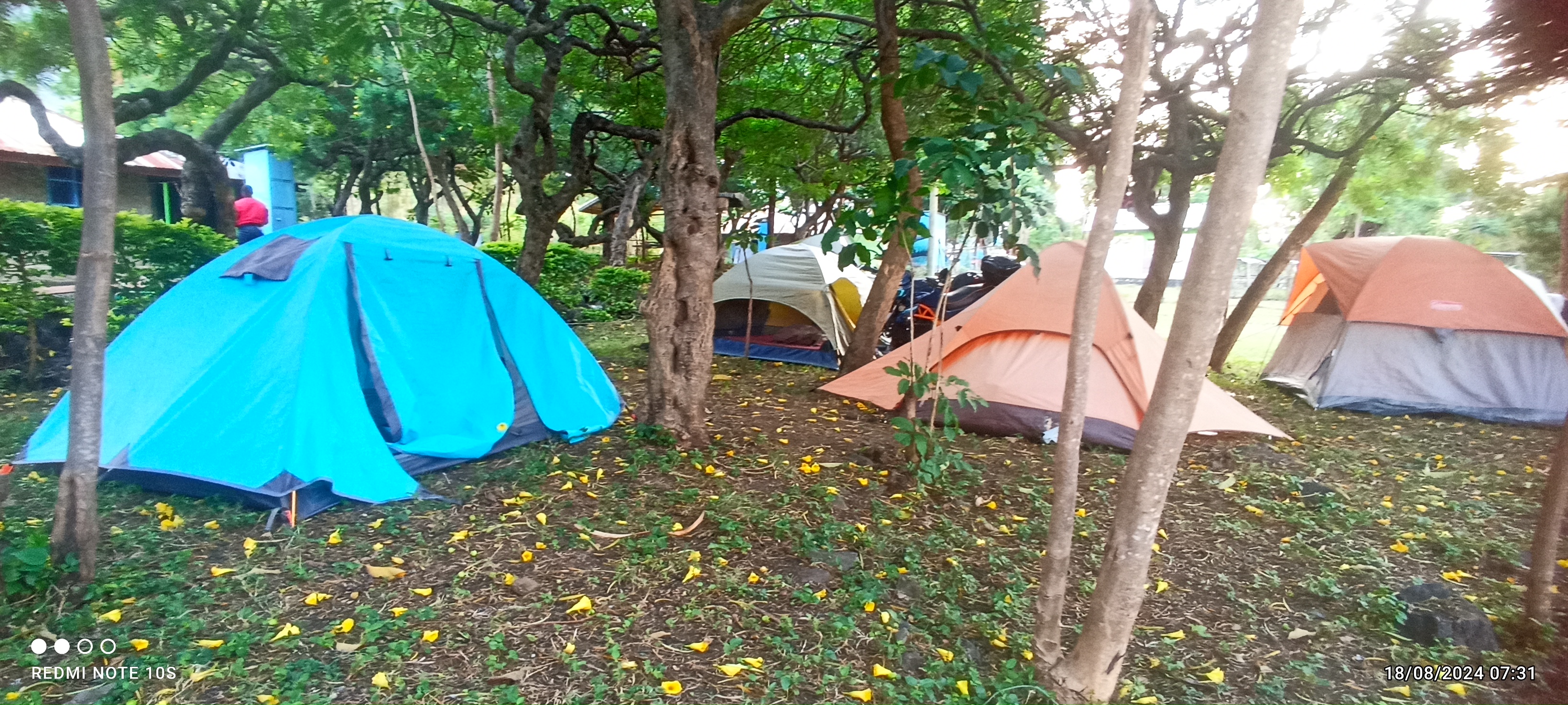 Volunteer Activities